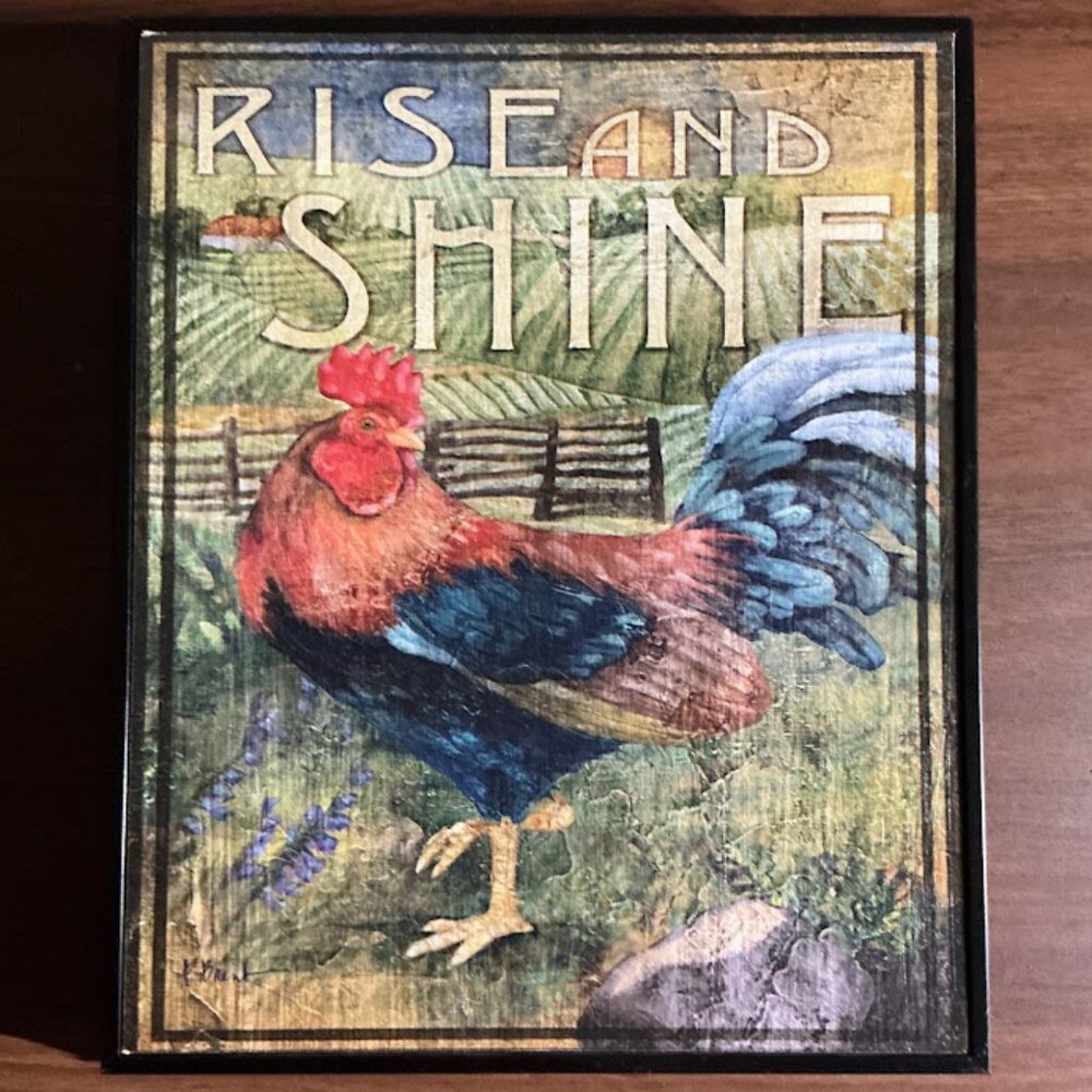 *5 for $20* “RISE & SHINE" ROOSTER WALL DECOR BY PAUL BRENT - Vintage